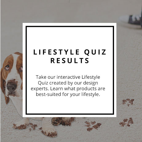 Lifestyle Quiz Results